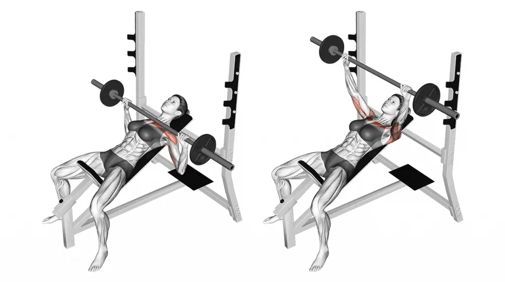 Incline barbell bench press demonstrating upper-chest activation on a 30–45° bench angle.