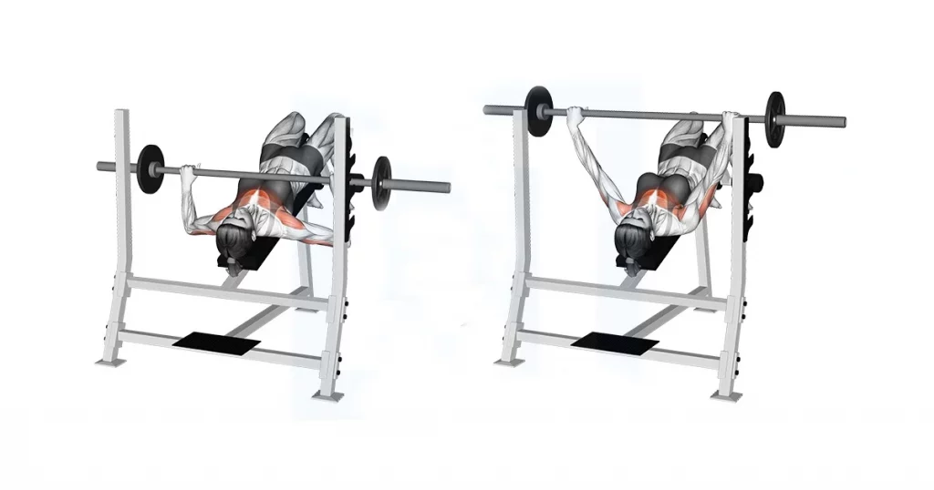 Decline barbell bench press demonstrating lower-chest activation on a downward-angled bench.