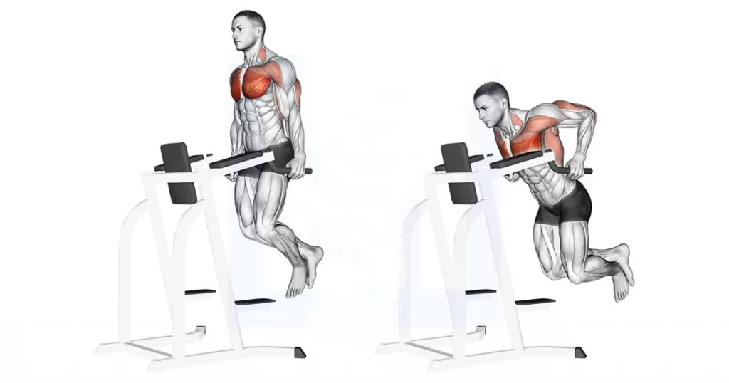 Chest dips exercise showing forward lean and strong lower-chest activation.