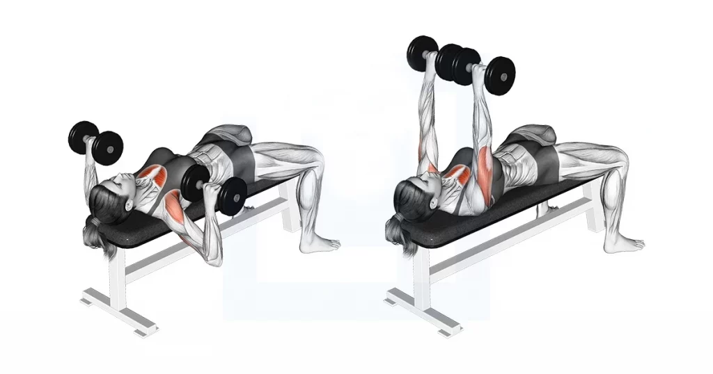 Flat dumbbell bench press demonstrating full range of motion and chest activation.