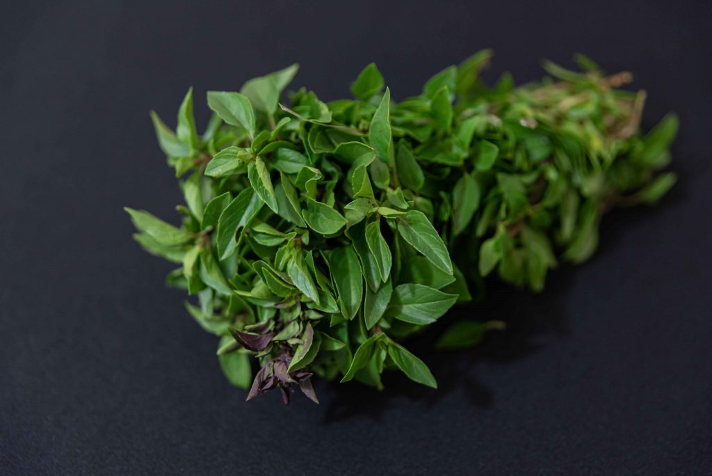 green-basil-table_11zon Fresh green herb bundle on a dark background illustrating Marjoram Substitutes.