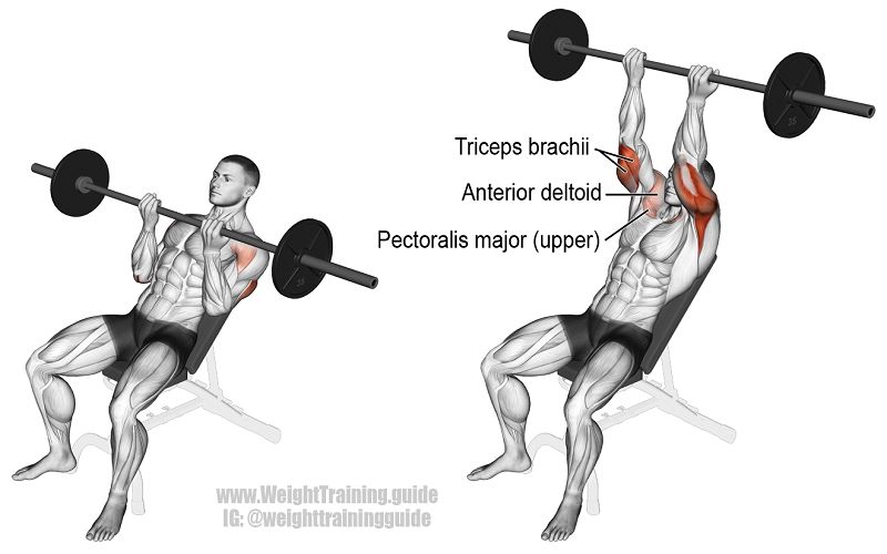 A computerized photo of a man doing incline reverse-grip bench press while the main areas targeted are presented.