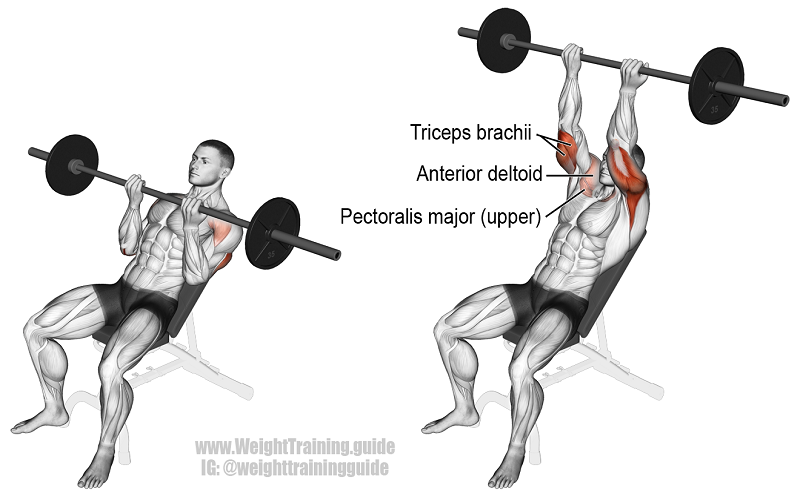 9 Top Best Chest Isolation Exercises happytrainers blog