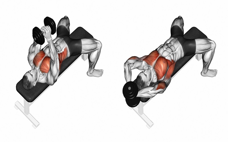 The picture shows how to do a dumbbell pullover as a chest isolation exercise. The targeted muscle groups are shown. 
