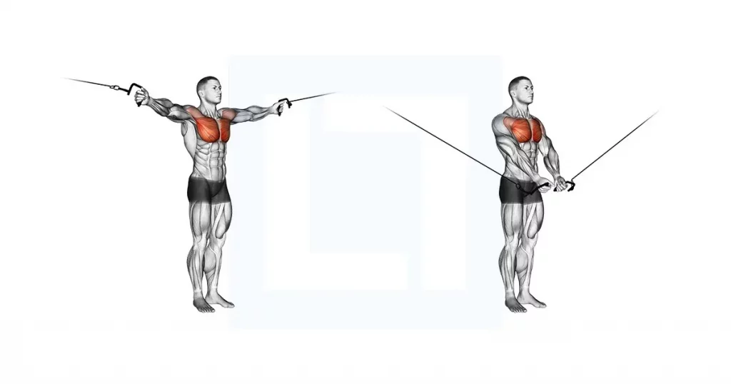 A diagram showing the cable crossover, a chest isolation exercise that targets the middle and inner pectoral muscles for better chest definition.