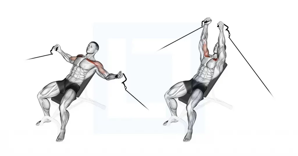 A diagram showing the incline cable flye, an upper chest isolation exercise that targets the upper pectoral muscles for balanced chest development.