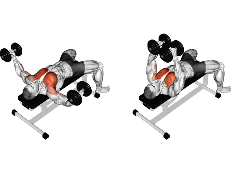 A diagram showing the flat dumbbell flye, a chest isolation exercise that targets the pectoral muscles and improves chest strength and definition.
