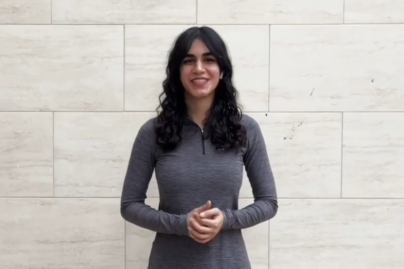 Niki Farajzadeh's introduction video
